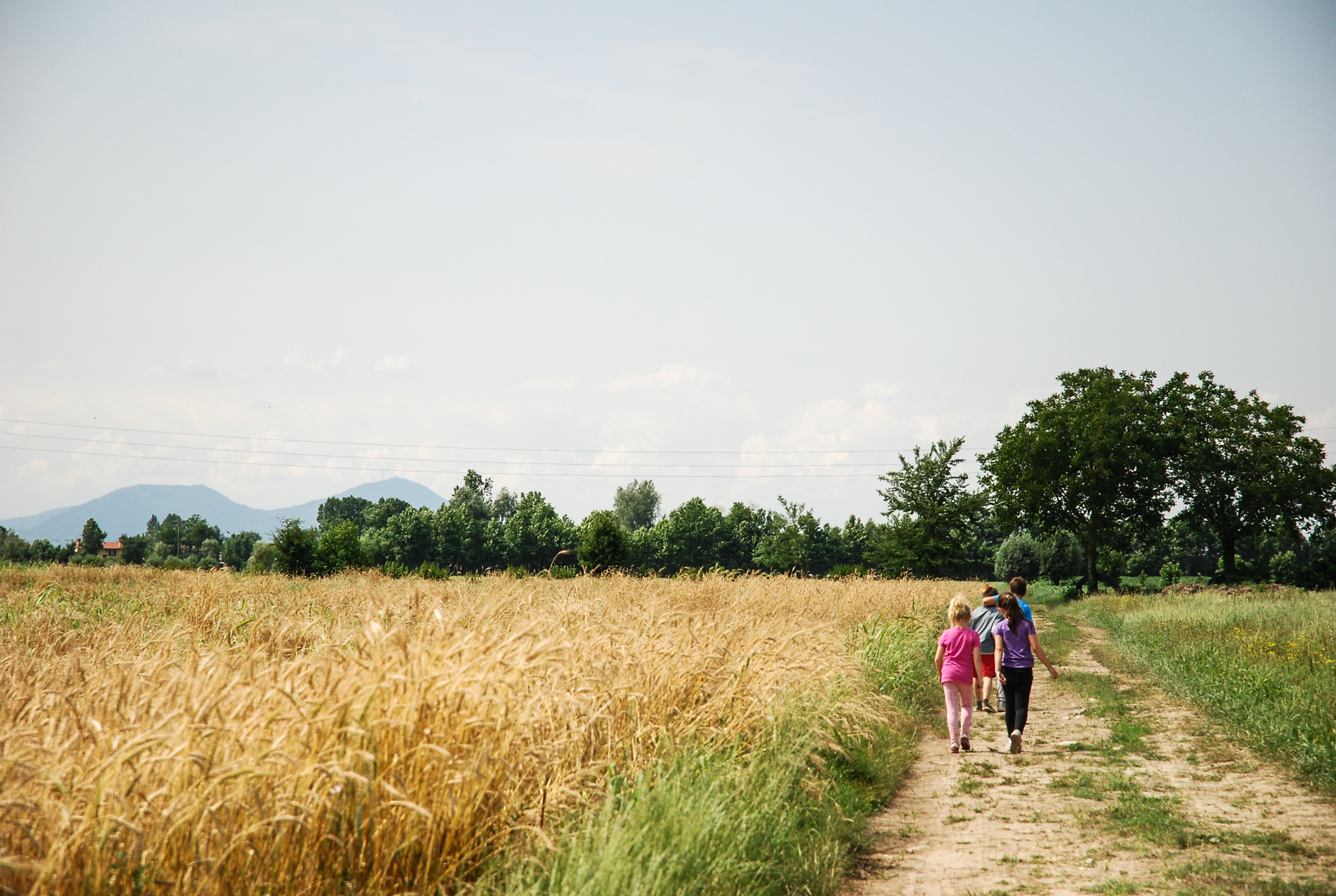 Riconvertire un'azienda agricola? Si può. Ecco che nasce la fattoria  sostenibile