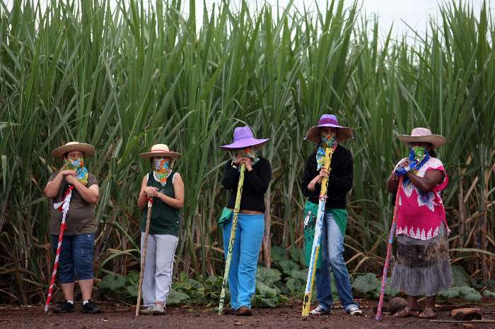 La Commissione Europea ritira la riforma del mercato delle sementi. Via Campesina: “Riprendiamoci la nostra sovranità alimentare”