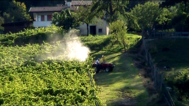 Contaminava con pesticidi il terreno del vicino, condannato