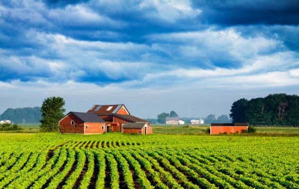 Cerchi terra da coltivare? Trovala così