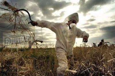 Il “regime” Monsanto: la multinazionale che si permette di dichiarare guerra a Iarc e Oms