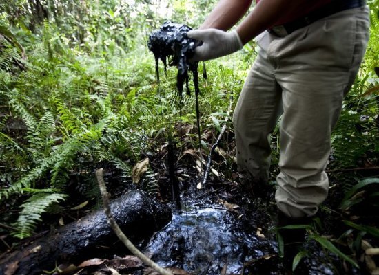 Ecuador, la Chevron condannata per danni ambientali