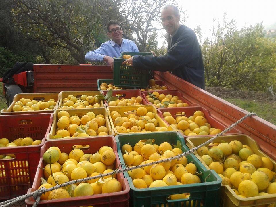 Il pulmino contadino: la rete del cibo sano ed etico