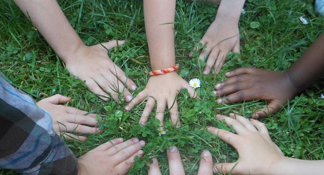 Buone pratiche e sostenibilità: le opportunità per i giovani