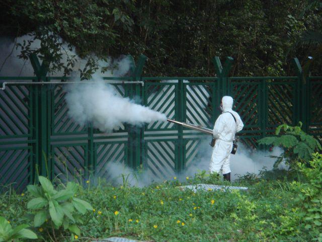 «La lotta chimica alle zanzare è inutile e pericolosa»