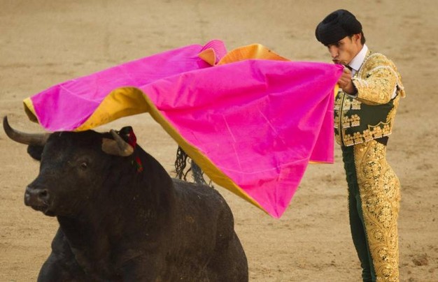 Corrida, nell'arena muore anche la ragione