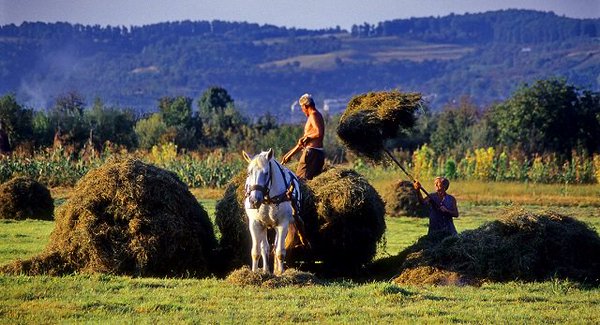 Sovranità alimentare, la lotta continua