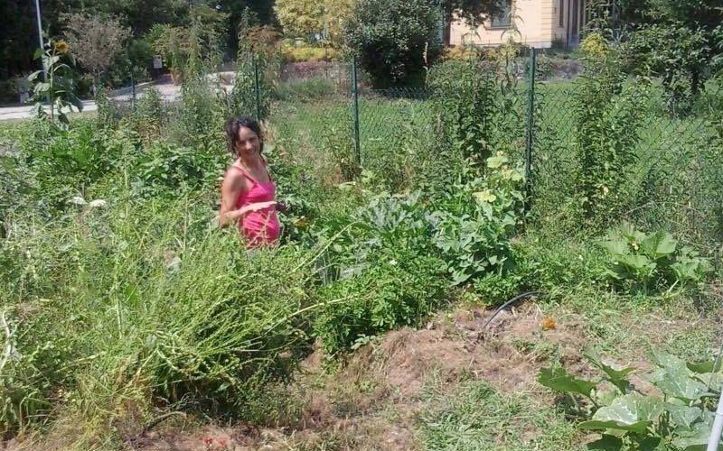 Sara, dalla metropoli alla social farm