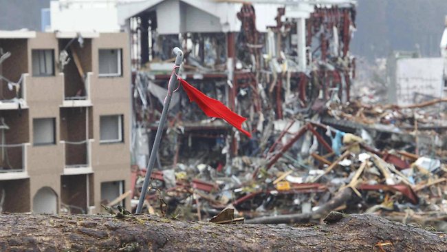 Il breve ponte fra un cane e un pianeta. I due cani di Fukushima