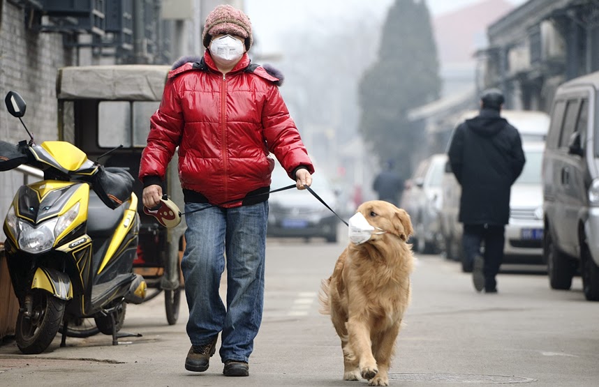 CO 2 fuori controllo, verso la catastrofe con ottimismo.