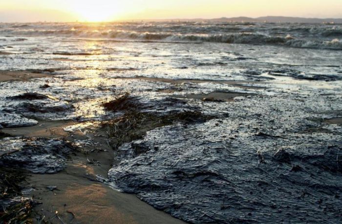 Nel Golfo del Messico torna la marea nera, ma ancora non si sa se è petrolio
