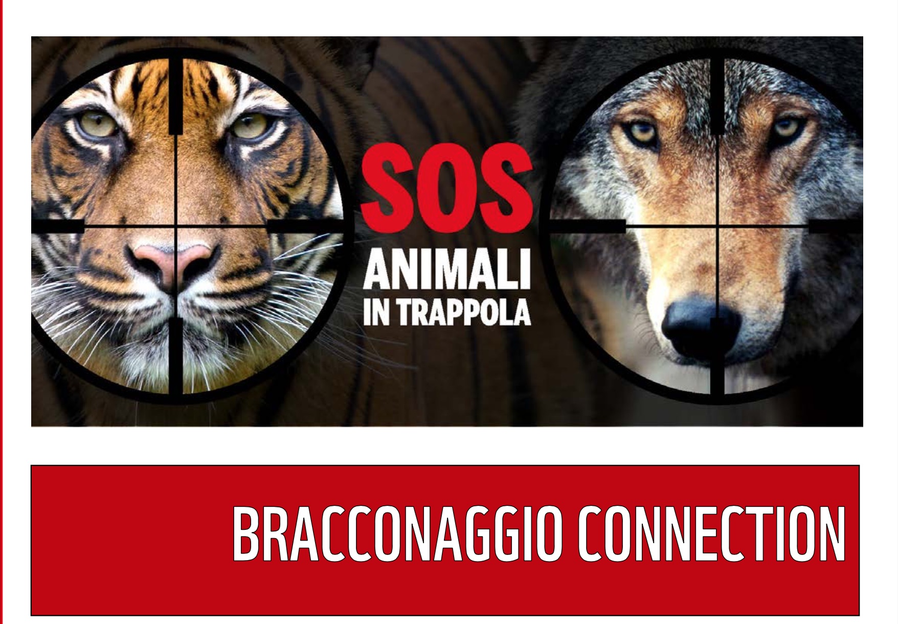 Bracconaggio Connection: settemila specie minacciate