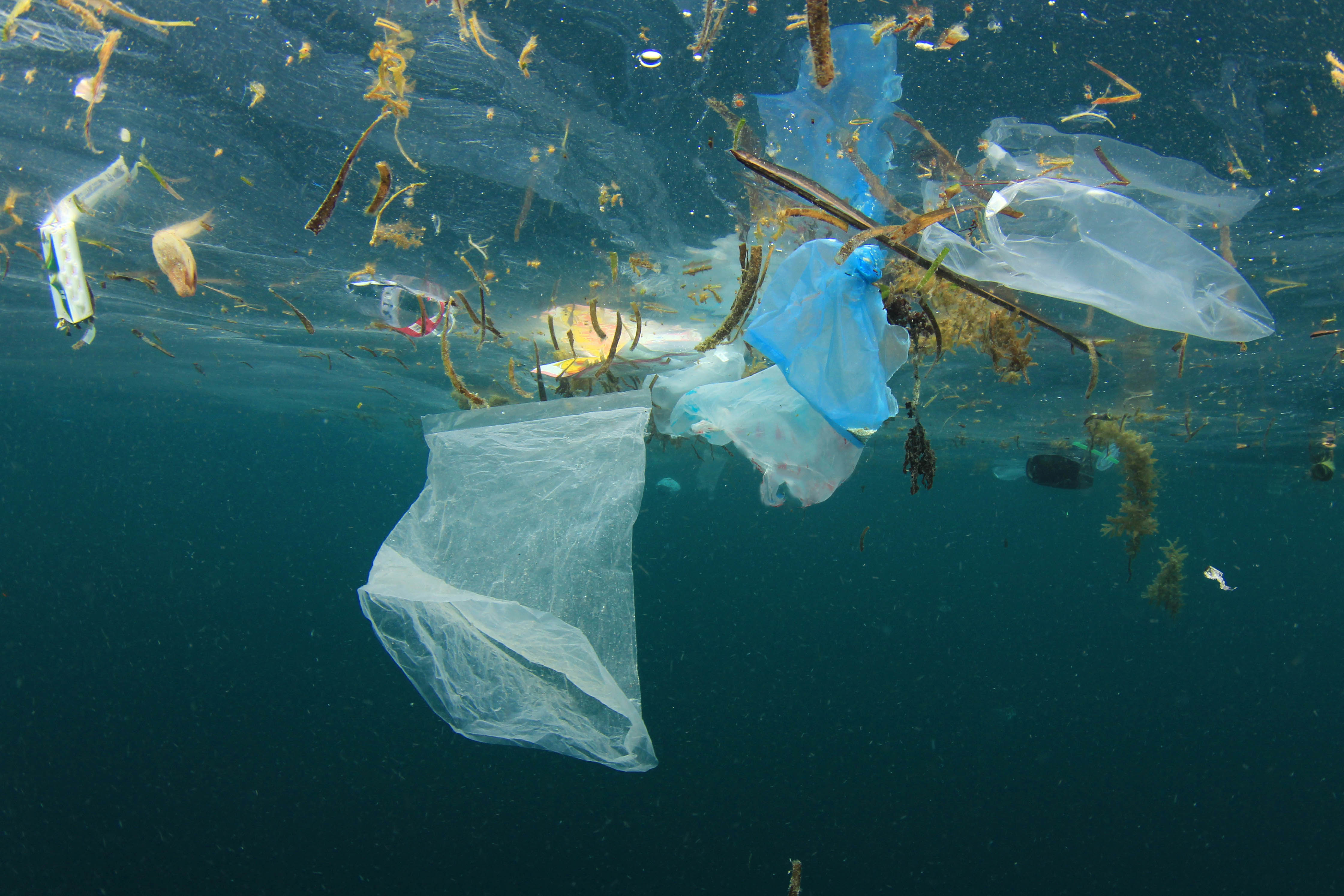 Il Mediterraneo in una trappola... di plastica