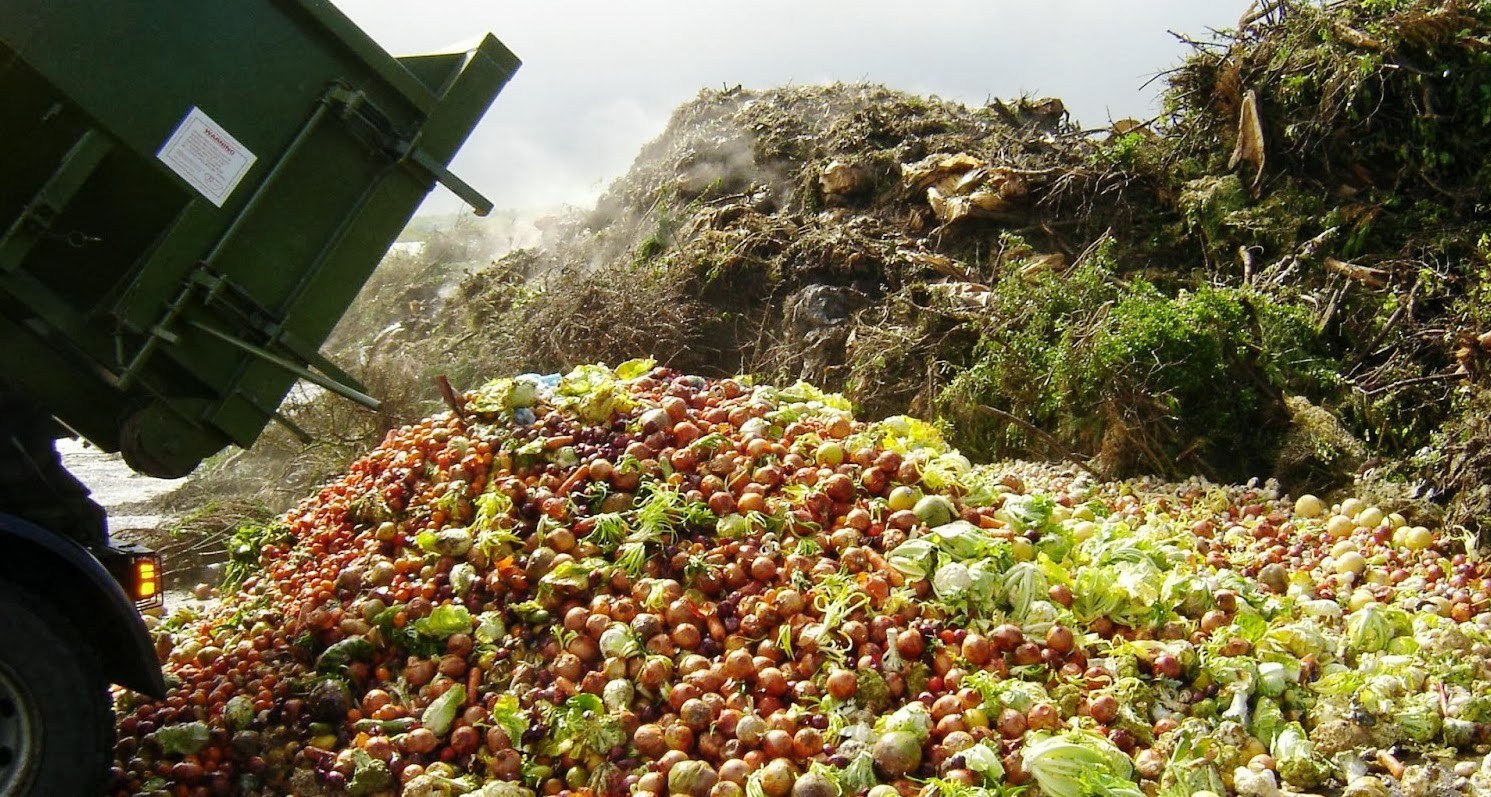 Ogni anno in Europa si sprecano 88 milioni di tonnellate di cibo