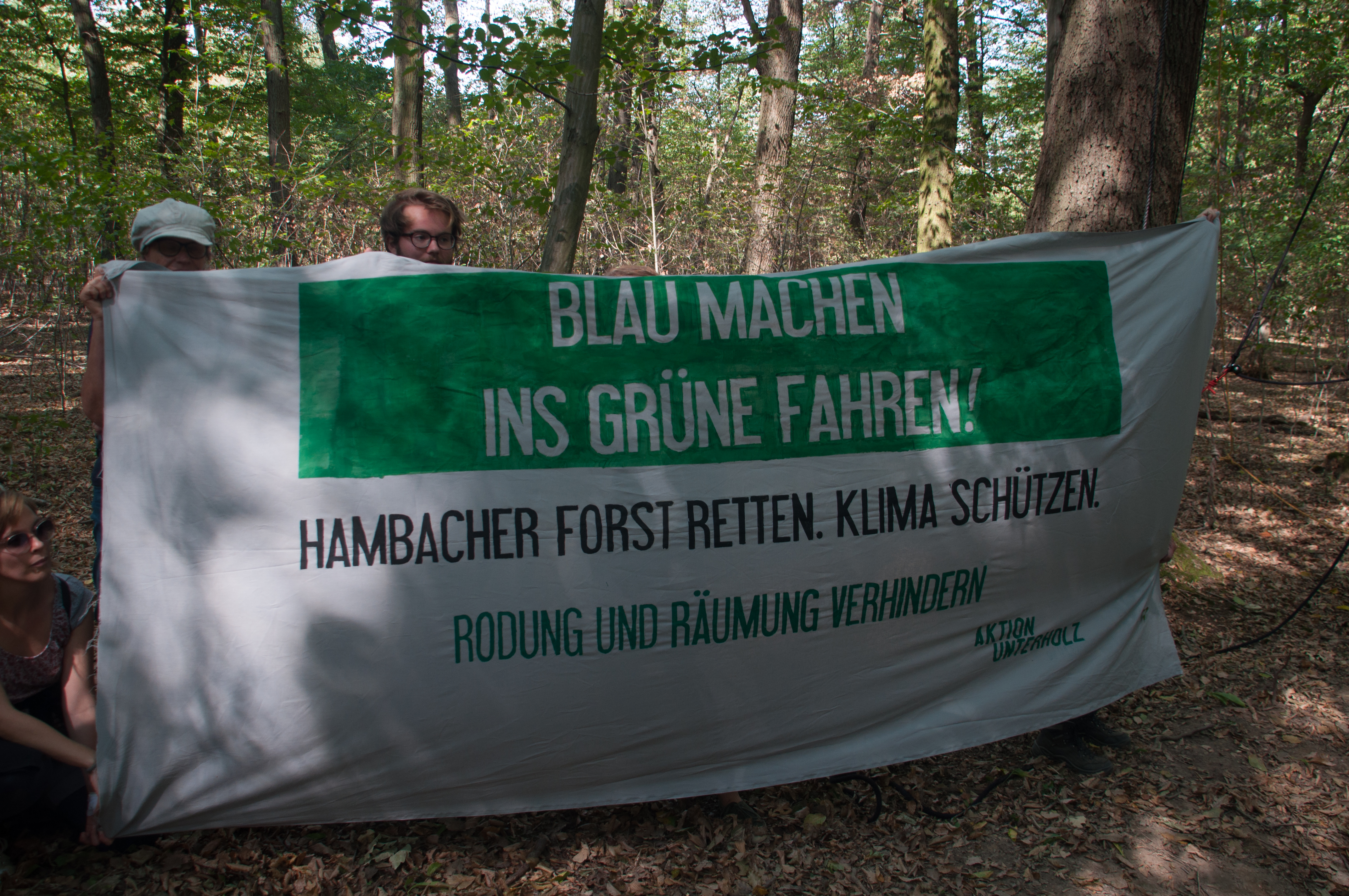 I mostri dell’energia e la resistenza verde della foresta di Hambach