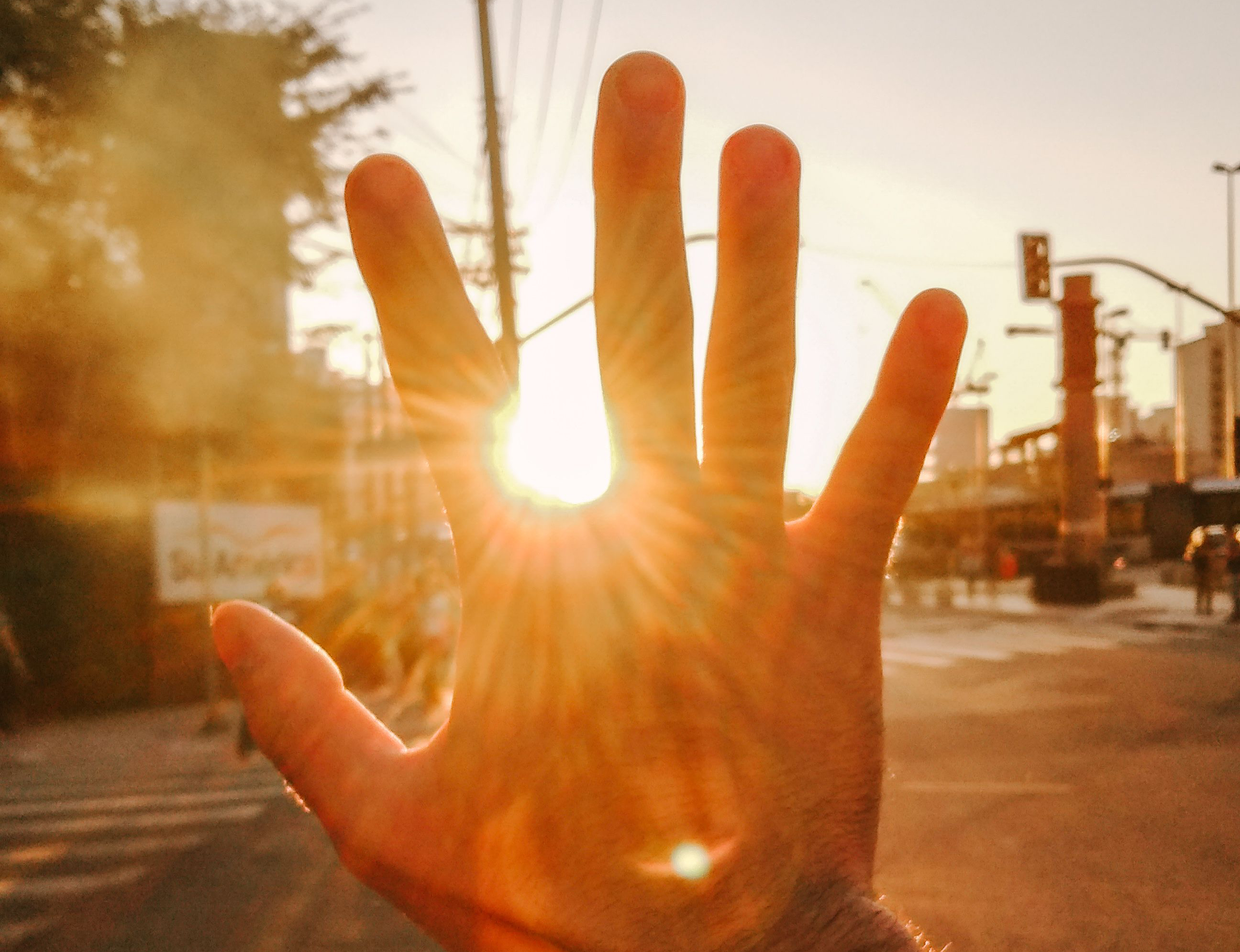 Caldo insopportabile? La voluta ignoranza sul risparmio energetico si paga carissima