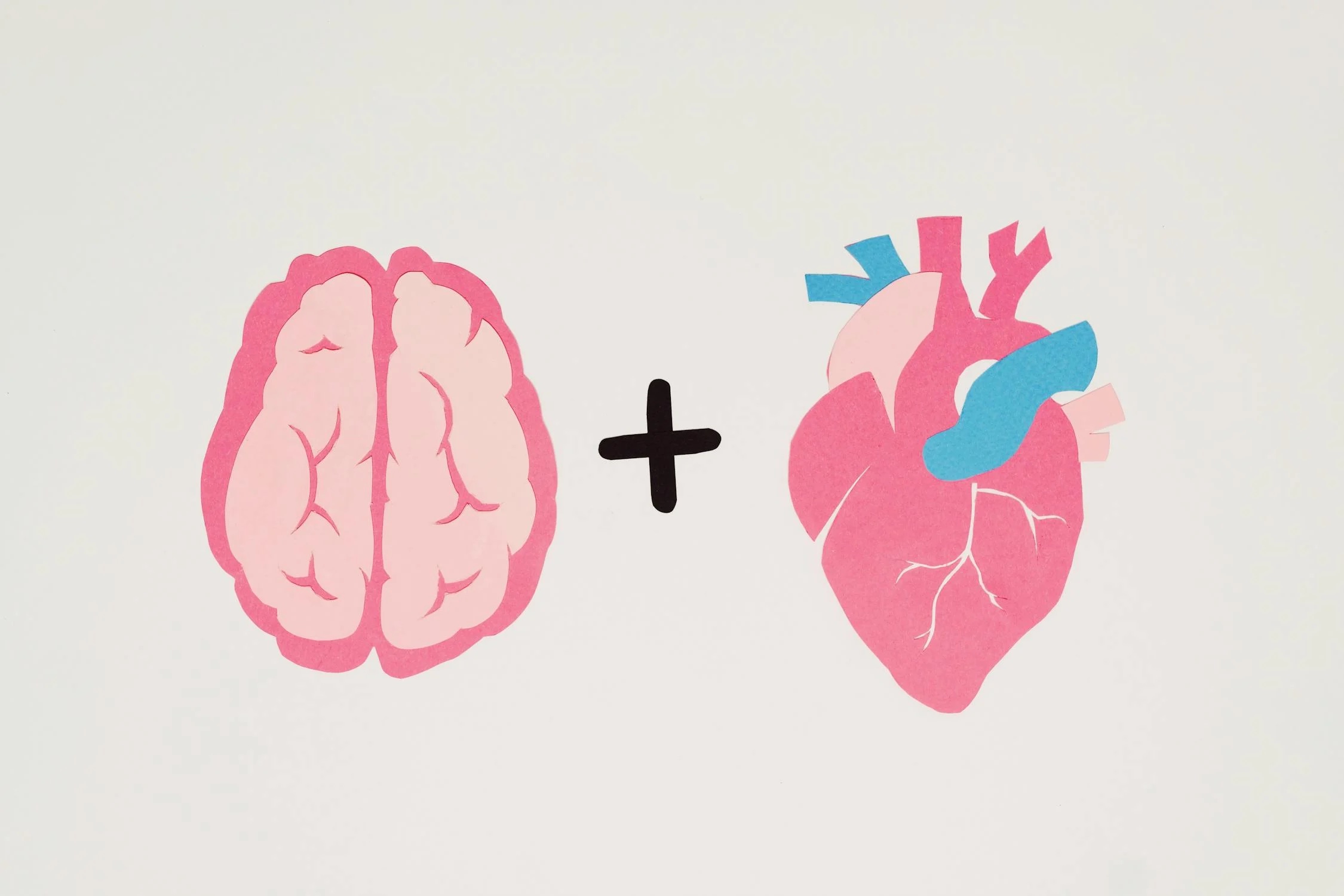 Collegare il cervello al cuore, non a un microchip
