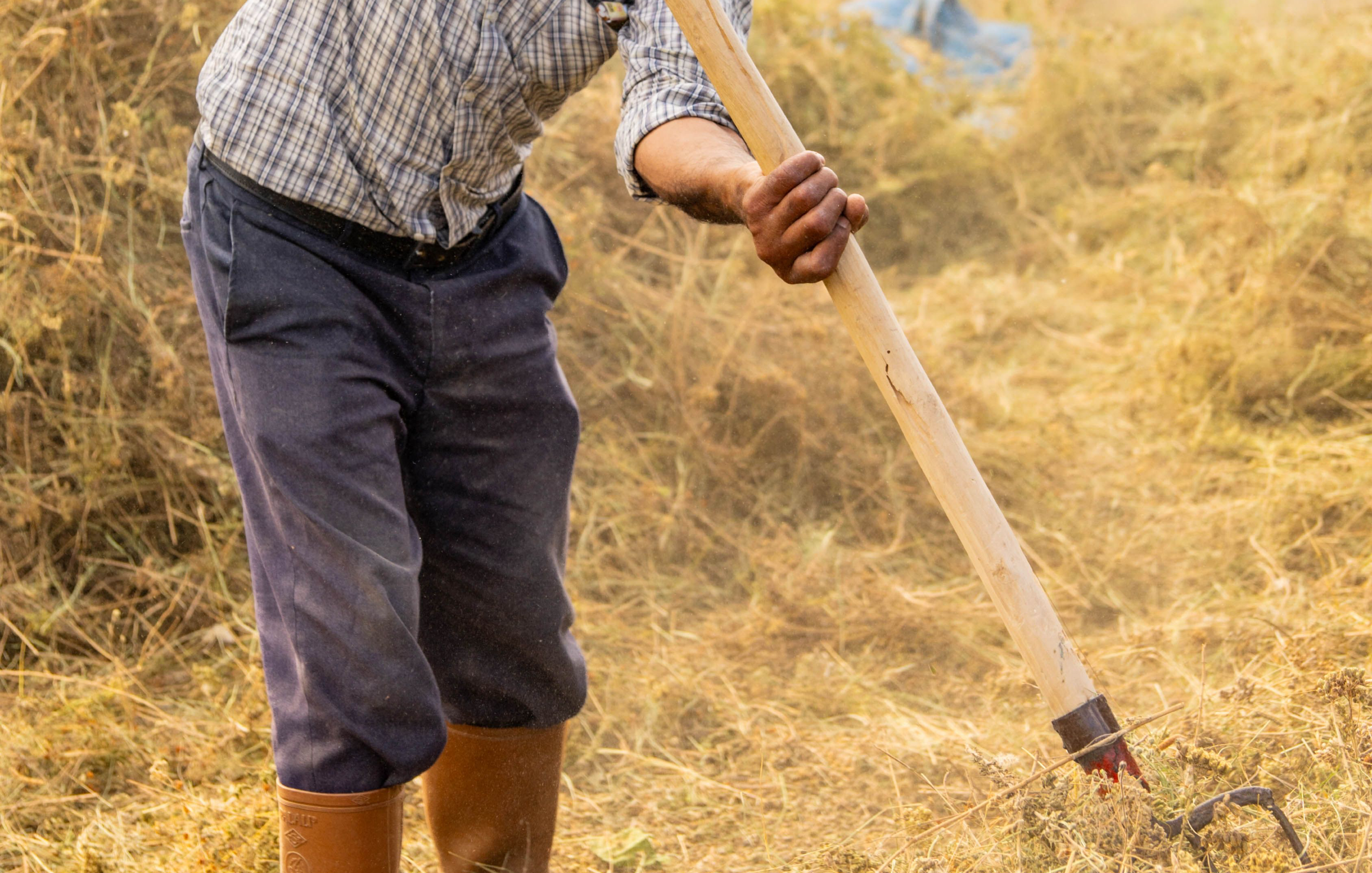 Dalla Sicilia la voce dell’agroecologia contadina che resiste alla globalizzazione