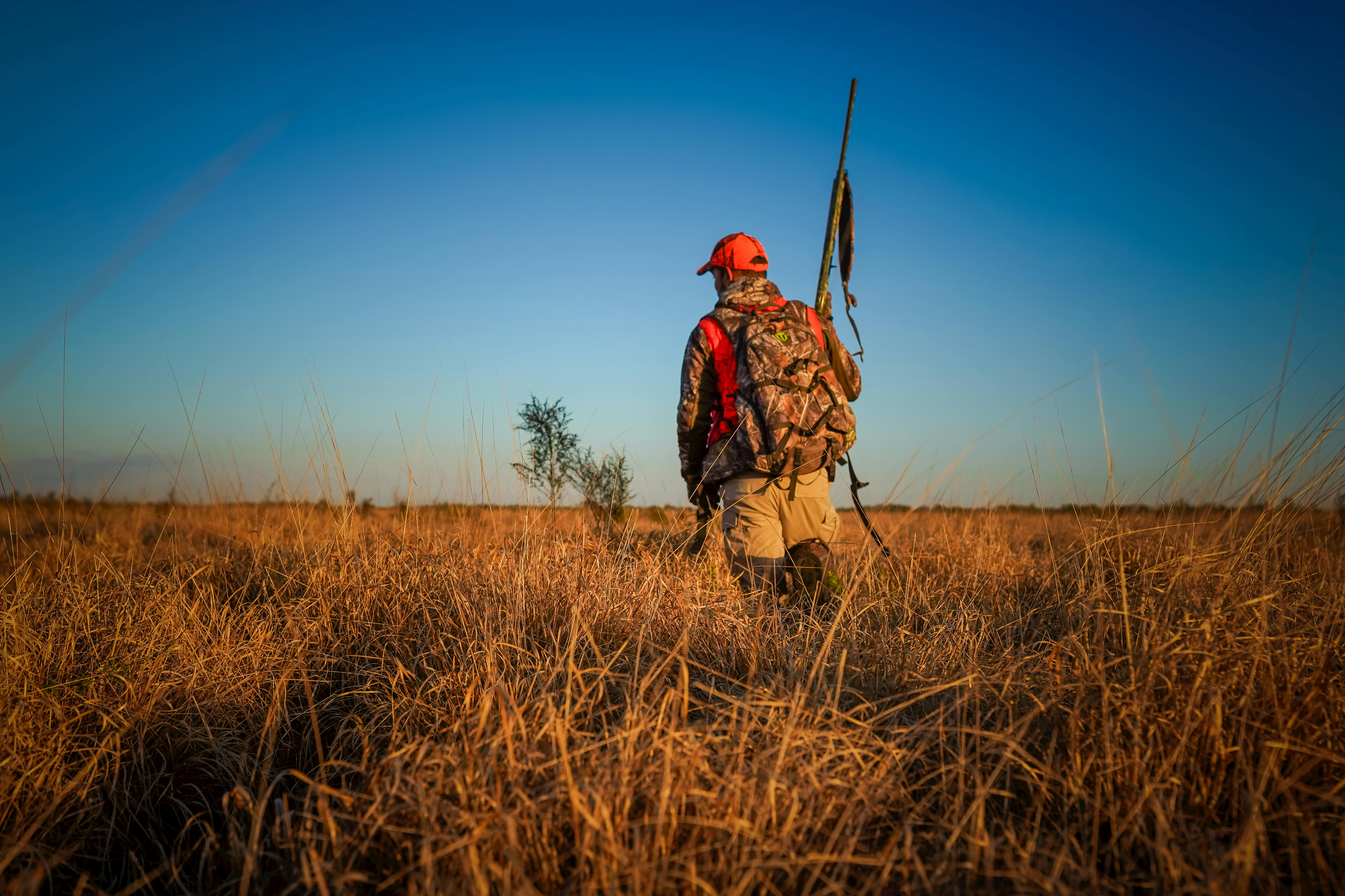 ISDE: «Caccia selvaggia, le nuove norme minacciano la biodiversità»
