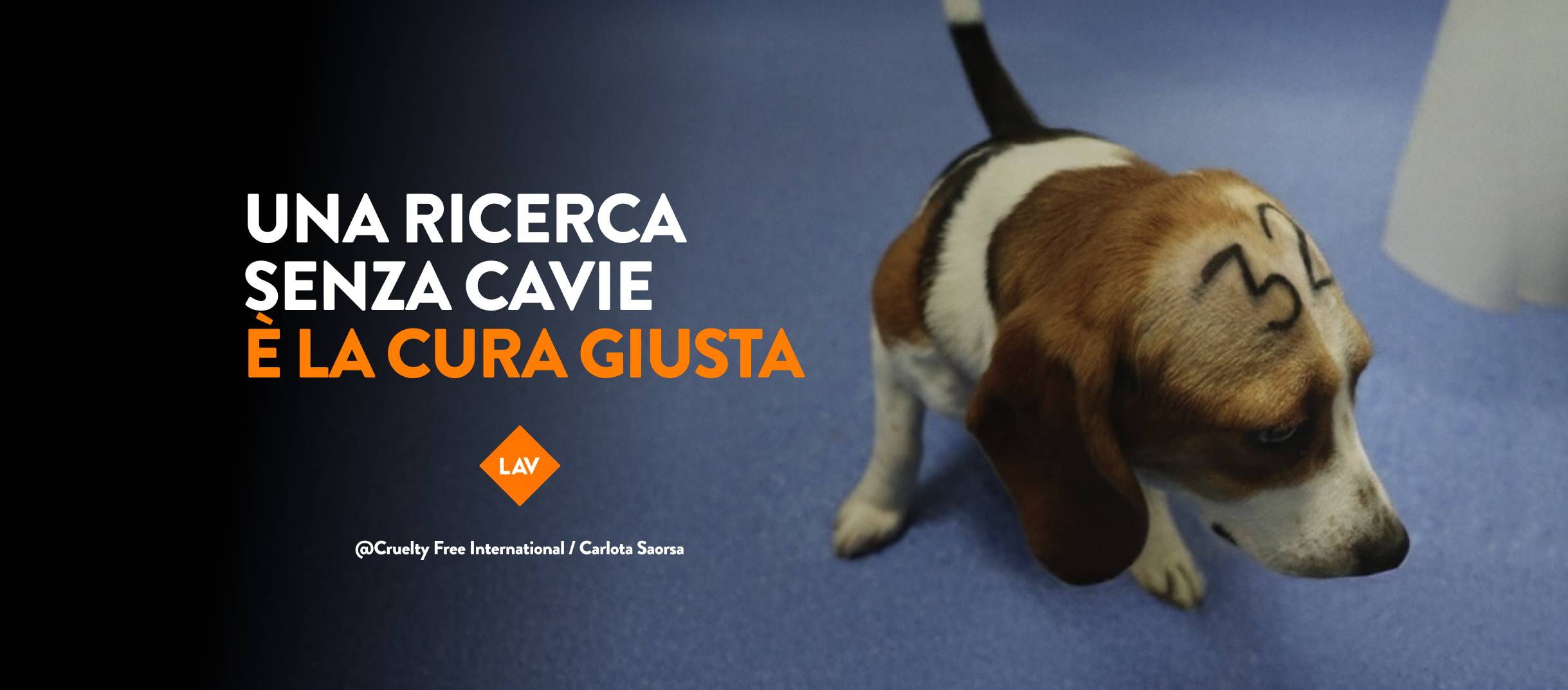 Lav: «Ogni minuto un animale è vittima delle sperimentazioni, ora basta»