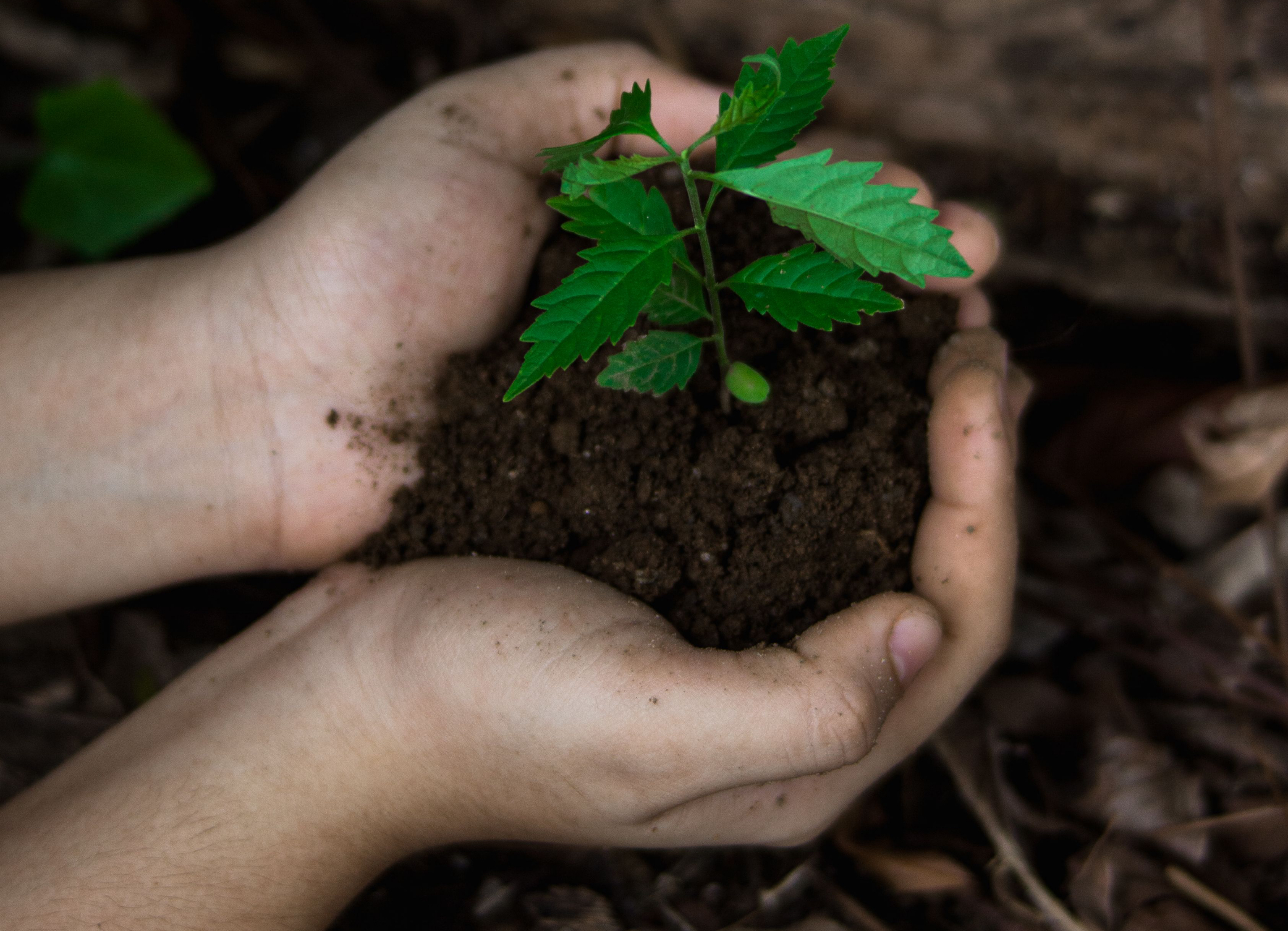 Ridurre la dipendenza, aumentare l’autonomia: ecovicinato, energie rinnovabili, orti autoirriganti ed economia domestica