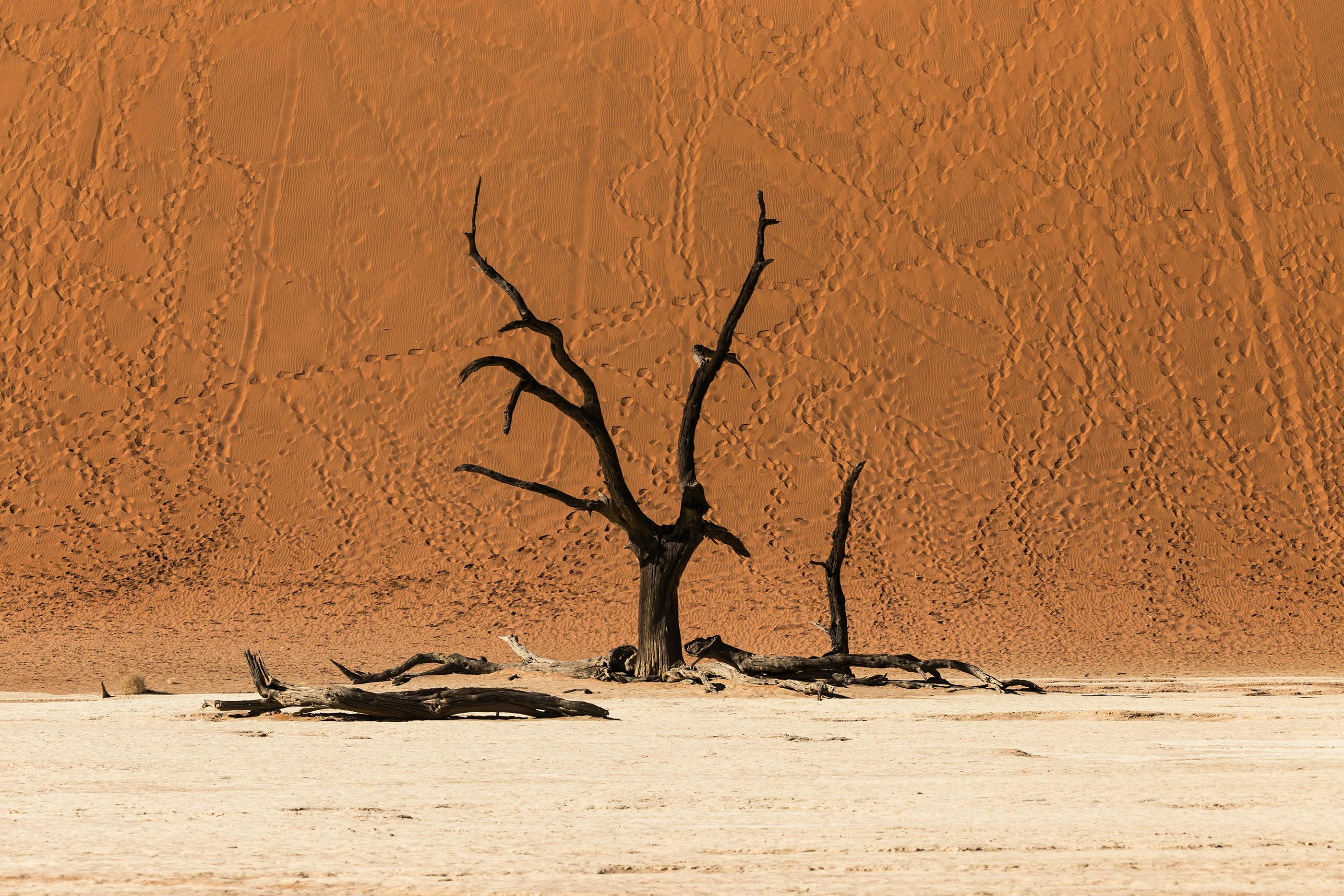 Se vi sentite in un forno, non vi preoccupate... il riscaldamento climatico non esiste...